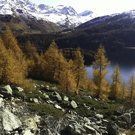 Appartement Chesa Mutaun